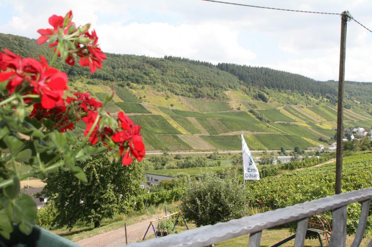 Weingut-Brennerei-Gästehaus Emil Dauns Reil Exterior foto